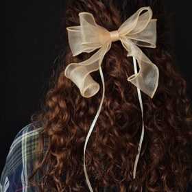 تصویر پاپیون مو کرمی 