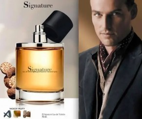 تصویر عطر مردانه سیگنیچر Signature Eau de Toilett