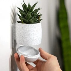 تصویر گلدان پلاستیکی دیواری طرح ساده Simple Cup 