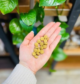 تصویر قرص بَره موم 