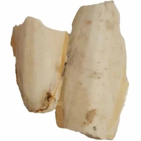 تصویر کف دریا کد M139 وزن 50 گرم 