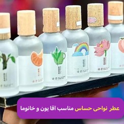 تصویر عطر بیکینی شیمانگ 50ml Bikini p.different scents-2