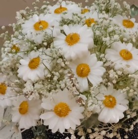 تصویر باکس شمع گل بابونه 