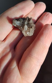 تصویر سروزیت داربستی 