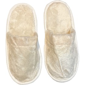 تصویر دمپایی روفرشی مدل TS222 