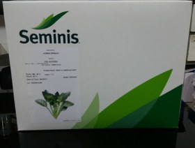 تصویر بذر اسفناج اصلاح شده سمینیس Seminis