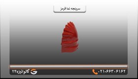 تصویر سرپنجه پرچین قرمز 