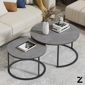 تصویر میز جلو مبلی دوقلو فلزی ۲ تکه مدل لسلی 