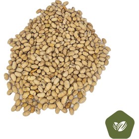 تصویر سویا نمکی 