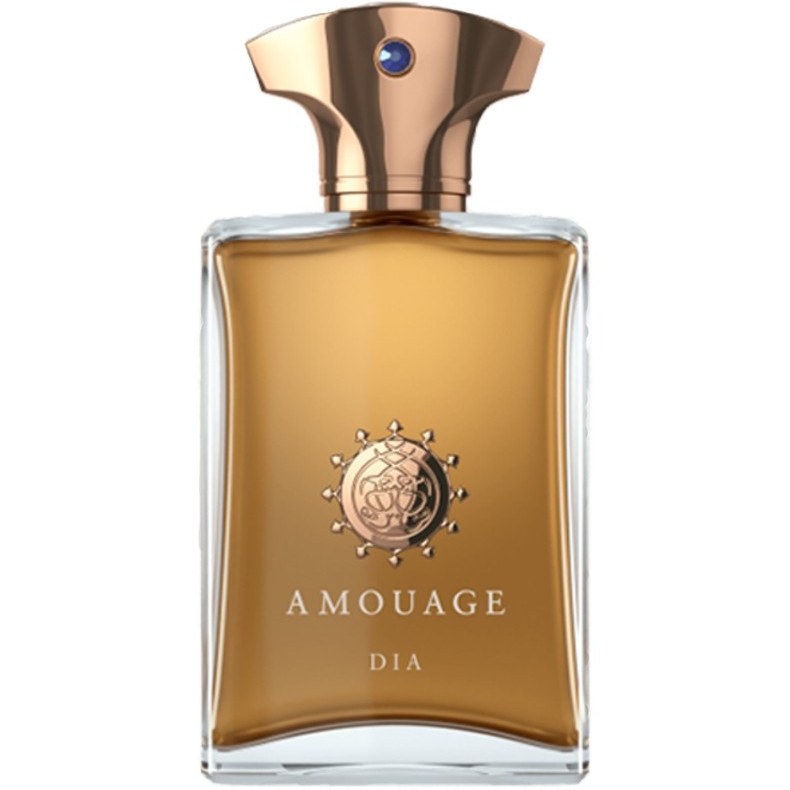 Amouage Dia Man Edp 100ml