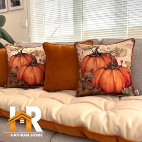 تصویر کوسن 0642 