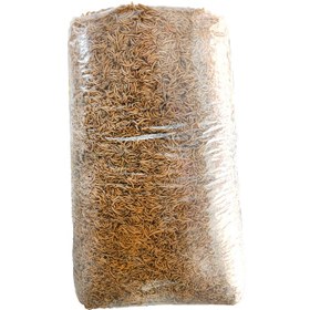 تصویر میل ورم خشک 