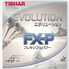 تصویر رویه راکت پینگ پنگ تیبهار EVOLUTION FX-P 