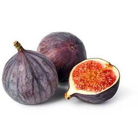 تصویر انجیر سیاه 