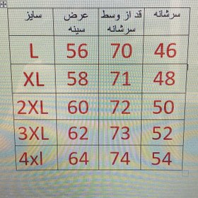 تصویر کاپشن مردانه طرح پر مارک نورث فیس 