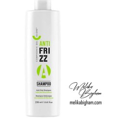 تصویر شامپو ضد وز سی دی سی CDC ANTI FRIZZ SHAMPOO