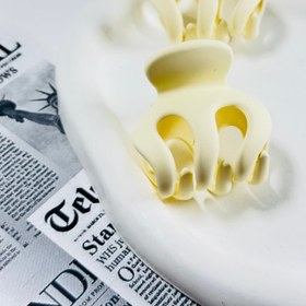 تصویر کلیپس گوجه ای جیر - نارنجی 