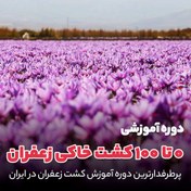 تصویر دوره آموزشی 0 تا 100 کاشت خاکی زعفران 