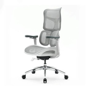 تصویر صندلی ارگونومیک SIHOO S100 SIHOO S100 Ergonomic Office Chair