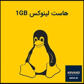 تصویر هاست لینوکس 1GB 