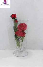 تصویر تنگ پایه دار عطارد 