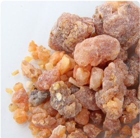 تصویر صمغ باریجه ضد تشنج