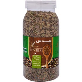 تصویر عدس ارگانیک «نیکاتیس» 