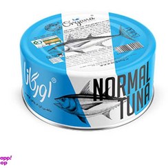 تصویر کنسرو ماهی تون در روغن گیاهی 180 گرم اورگانا 