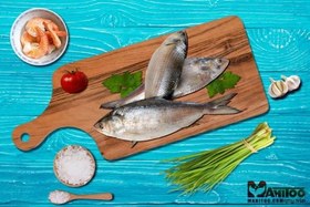 تصویر ماهی صبور 