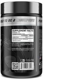 تصویر ال کارنیتین کورچمپس 1000 CORE CHAMPS L-Carnitine 