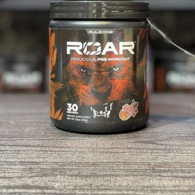 تصویر پمپ ROAR رول وان 270 گرم 