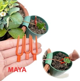 تصویر گیره نشاء توت فرنگی 