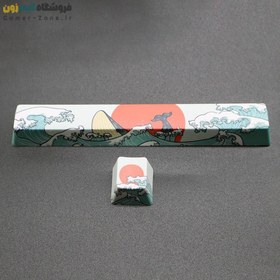 تصویر کیکپ طرح Coral Sea کیبورد مکانیکال PBT Esc+Space Coral Sea Keycap for Mechanical Keyboards 