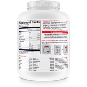 تصویر پروتئین وی بیسیک BASIC WHEY PROTEIN