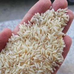 تصویر برنج دودی شمال | برنج درجه ۱ هاشمی | برنج دودی هاشمی | برنج گیلان زمین 