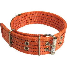 تصویر قلاده سگ 