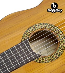 تصویر گیتار دوریس +DS 