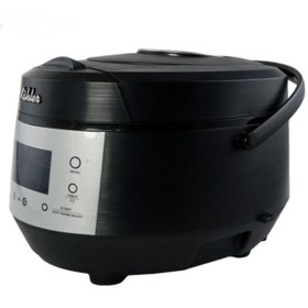 تصویر پلوپز دیجیتال 20 کاره مدل میلا Mila model 20 functions digital rice cooker