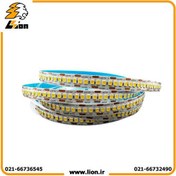 تصویر ریسه نواری ۱۲ ولت تراکم ۲۴۰ لان استار  ۱ متر 12V ribbon cable, density 240 Lonstar 1m