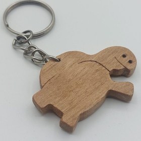 تصویر جاکلیدی لاک پشت چوبی 