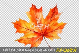 تصویر نقاشی آبرنگ برگ درخت افرا بدون زمینه 