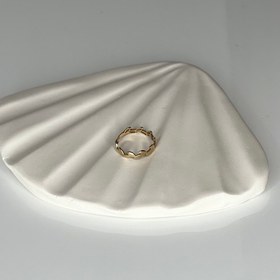 تصویر صدف تخت 