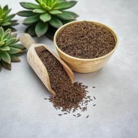 تصویر زیره سیاه 