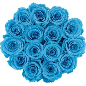تصویر Blue Eternal Roses in a Peach Box | کد: ZNB-1IXD 