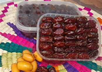 تصویر خرما آلویی پرگوشت و درجه1 ...امسالی 