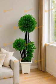 تصویر درختچه تزئینی بزرگ 