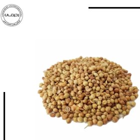 تصویر تخم گشنیز 