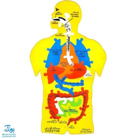 تصویر پازل آموزشی اعضای بدن انسان فومی سایان چند رنگ