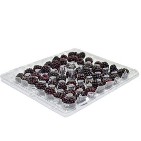 تصویر تمشک درجه یک – 200 گرم 