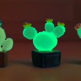 تصویر کاکتوس شبنما 